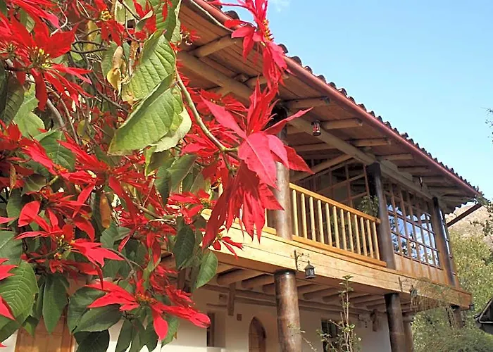 Iorana Urubamba
